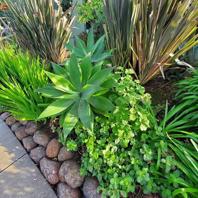 Building Photo - 806 Vincente Ave