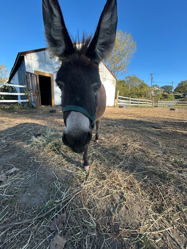 Foto del edificio - 5906 Little Turtle Trail