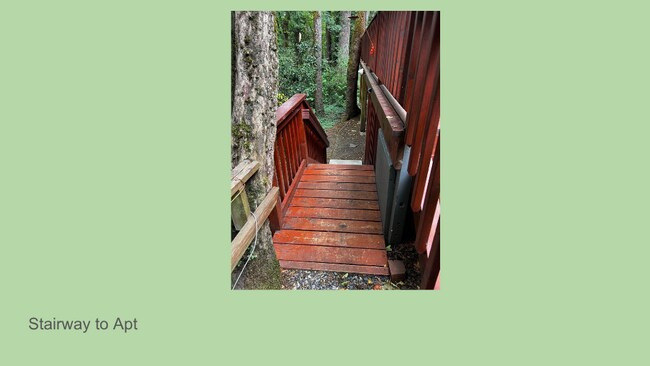 Escaleras al apartamento - 15315 Twin Fir Rd