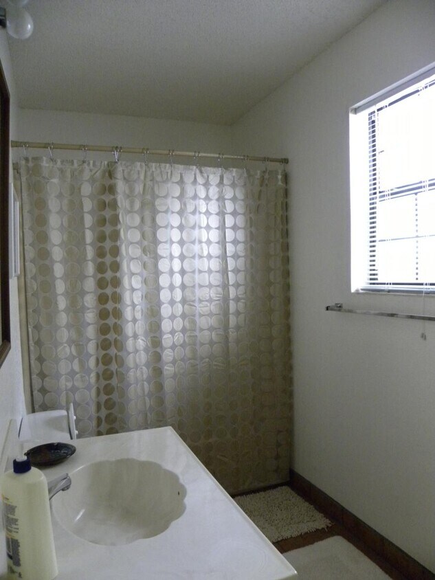 main floor bathroom - 209 N Eagle Dr