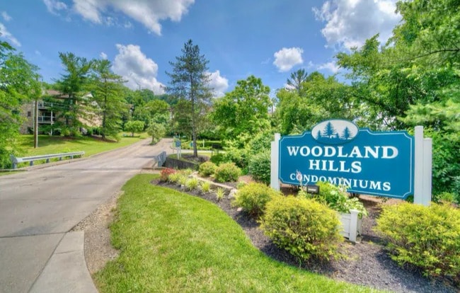 Foto del edificio - 66 View Terrace Dr