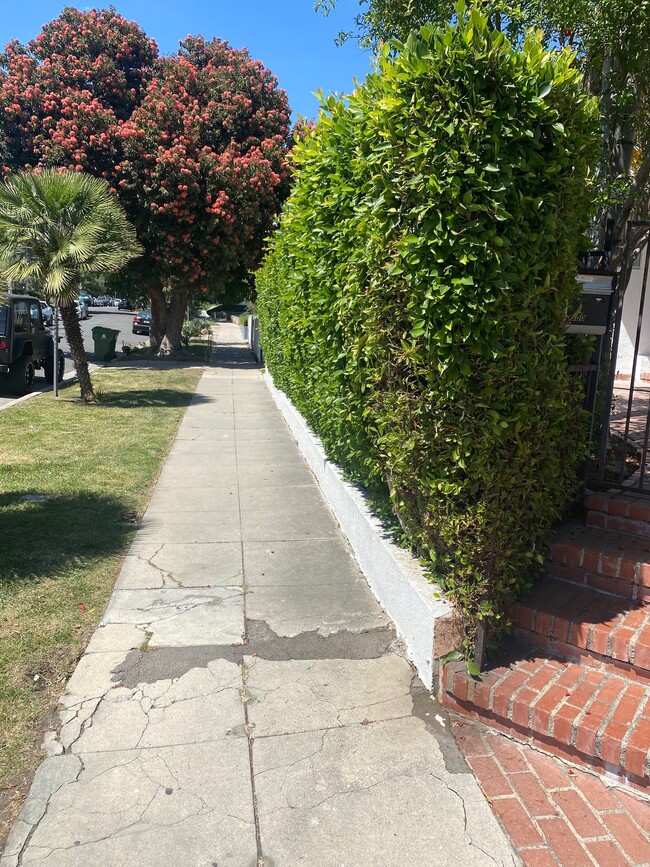 Plymouth Curb - 600 N Plymouth Blvd
