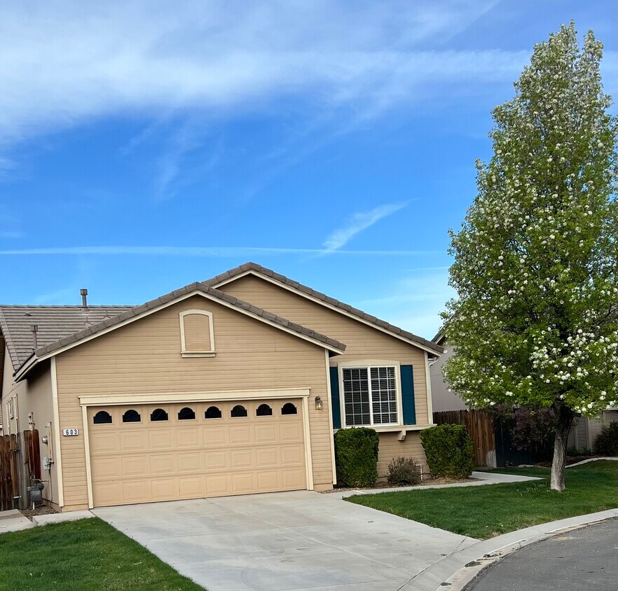603 Birkdale Ct, Dayton, NV 89403 House for Rent in Dayton, NV
