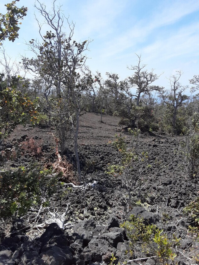 9289279147 Catamaran Ln, Captain Cook, HI 96704 House Rental in Captain Cook, HI