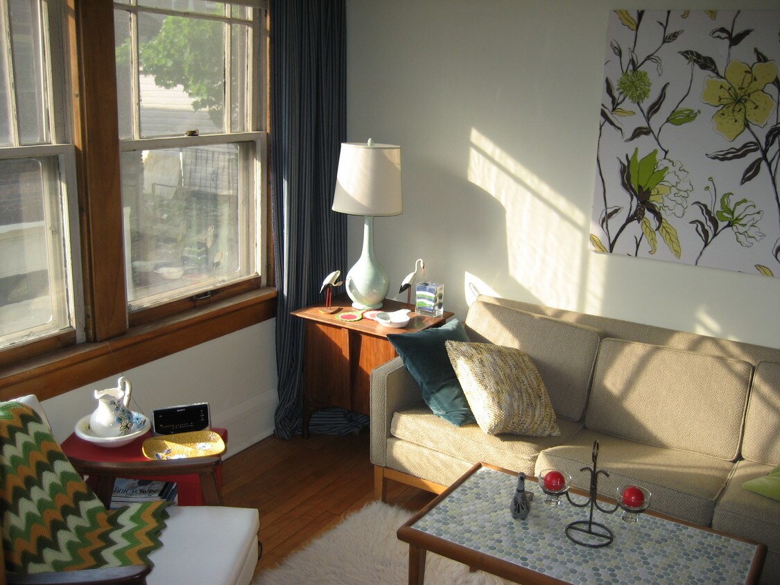 Primary Photo - 309 Norris Ct