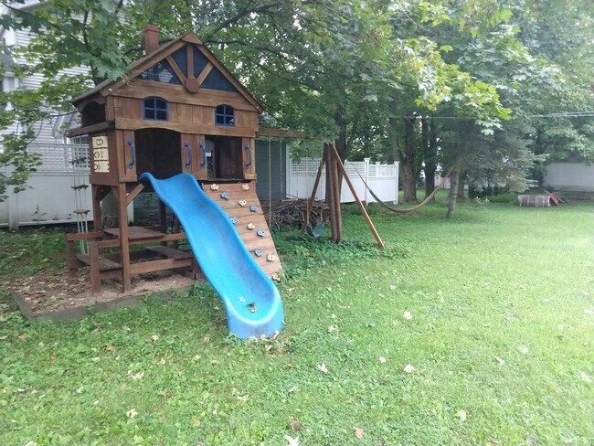 Back Yard - 40 Church St