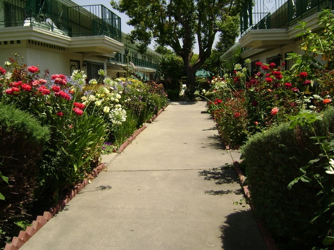The Colonial House Apartments San Jose Ca Apartments Com