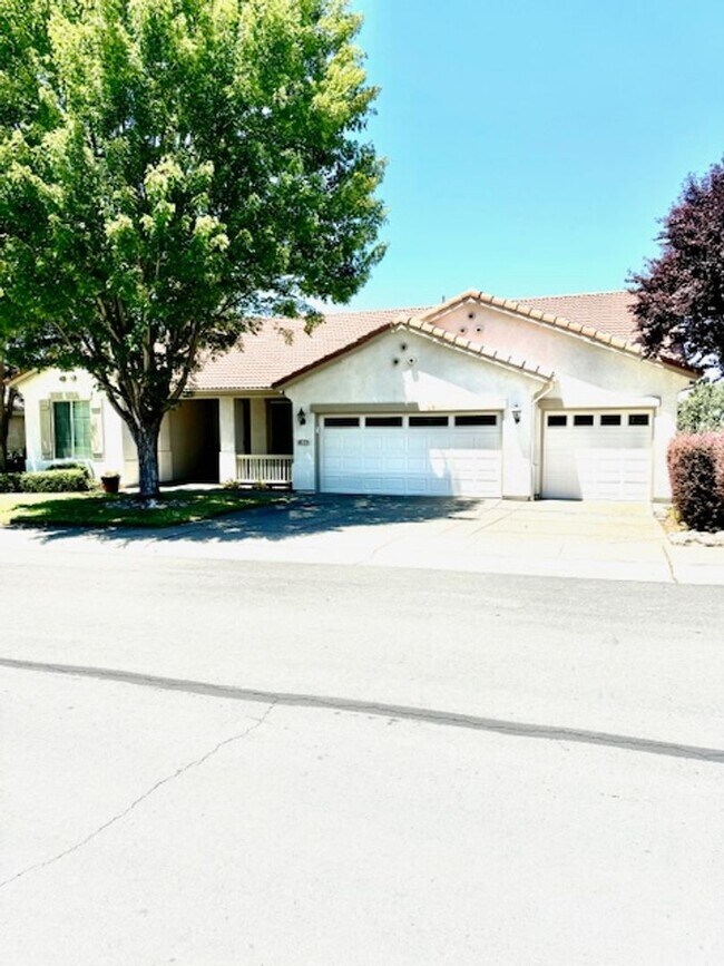 Building Photo - Springfield Home with a View - MUST BE 55 YEARS OF AGE