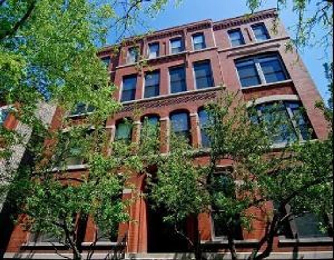 Foto principal - Large Lincoln Park 2 Bed, 2 Bath Duplex