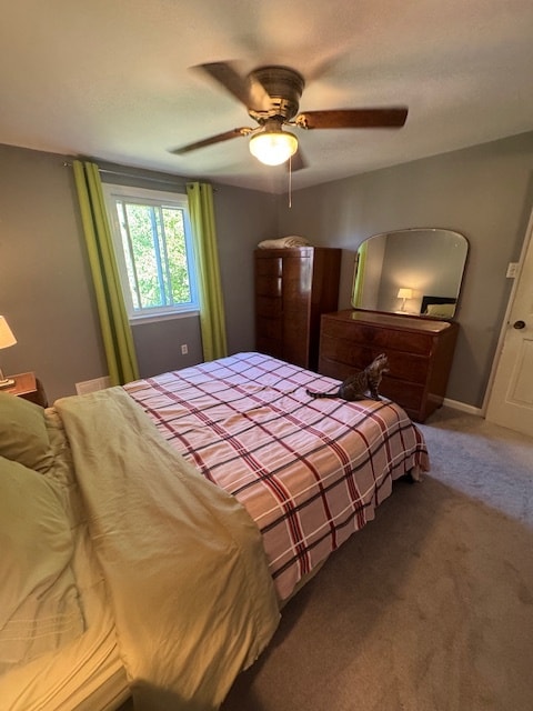 Photo - 815 Louisa St House