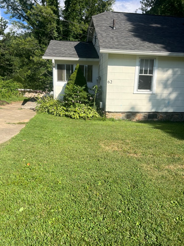 Building Photo - 62 Elm Tree Ln