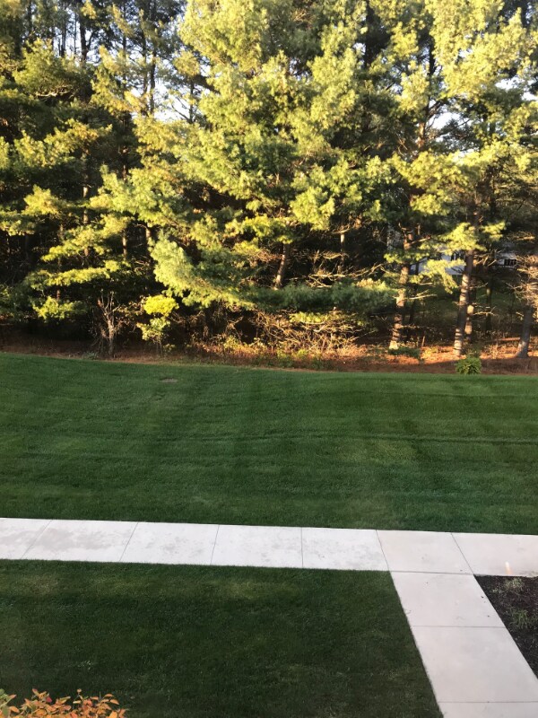 Building Photo - 668 Olde English Cir