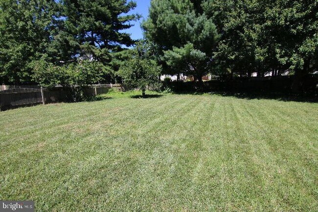 Building Photo - 203 Eagle Nest Dr