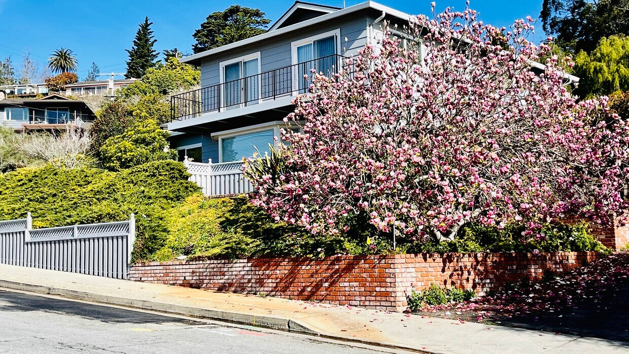 Primary Photo - 520 Escalona Dr