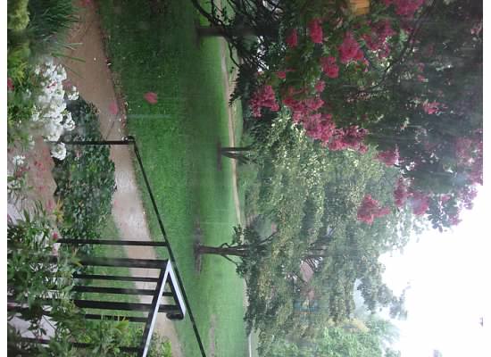 Front Yard View - 1100 S Barton St