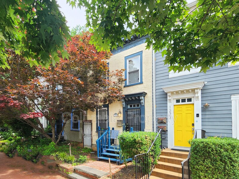 Primary Photo - 1225 4th St NW