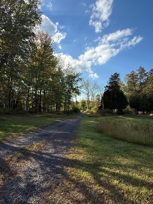 Building Photo - Charming Doylestown Modern Farmhouse & Barn