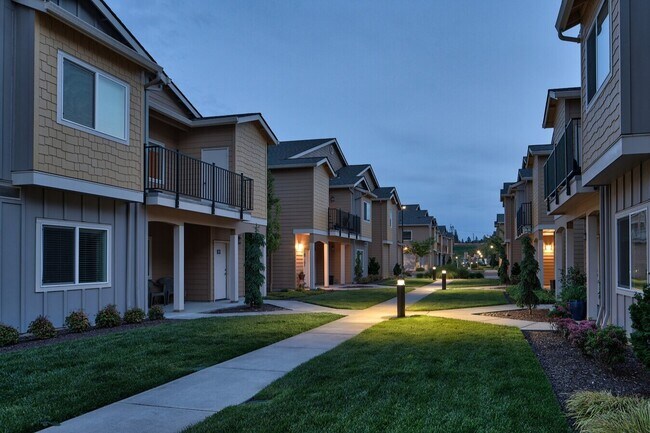 Caminos iluminados - Four Seasons Central