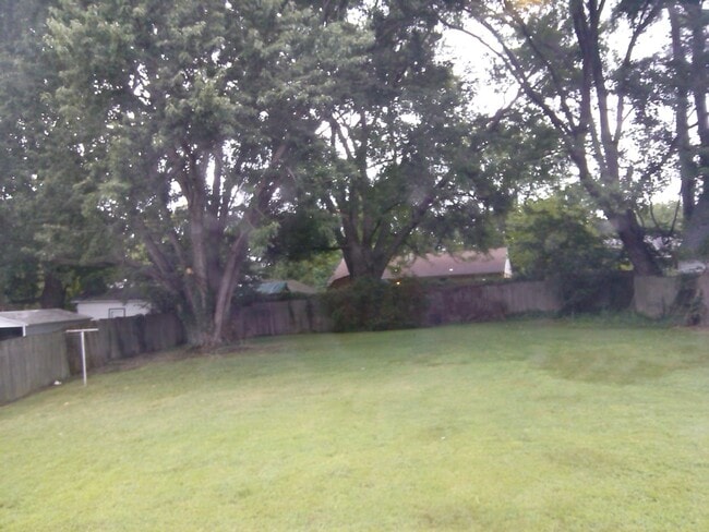 Large backyard - 317 Judy Dr