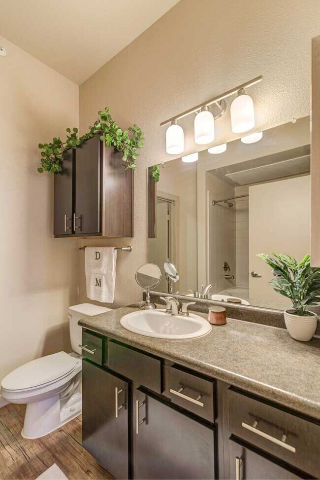 The District at Medical Center Apartments San Antonio, TX