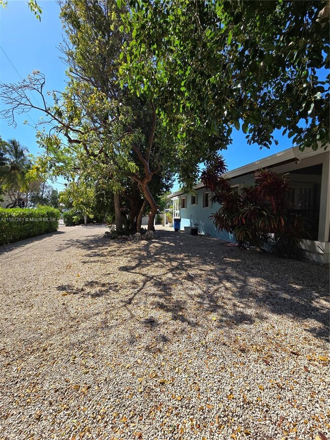 Foto del edificio - 101 Gumbo Limbo Rd