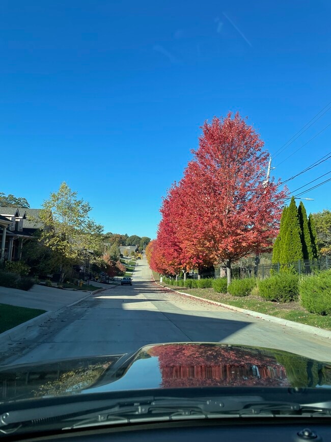 Ubicado a solo minutos del aeropuerto y del centro de la ciudad. - 1616 Park Ave