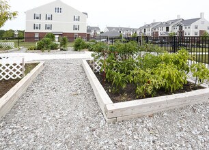 Building Photo - The Domain at Bennett Farms