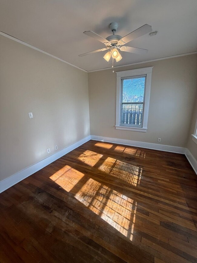 Building Photo - Newly Renovated Cozy & Convenient