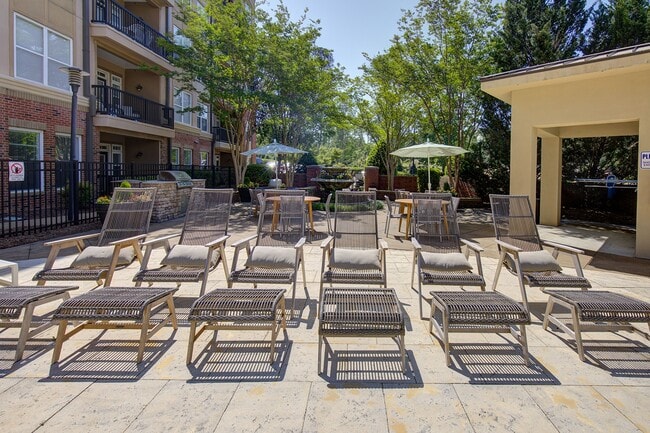 Tumbonas junto a la piscina - Apartments at The Arboretum