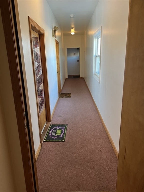 Foto del edificio - 358 Mammoth Rd