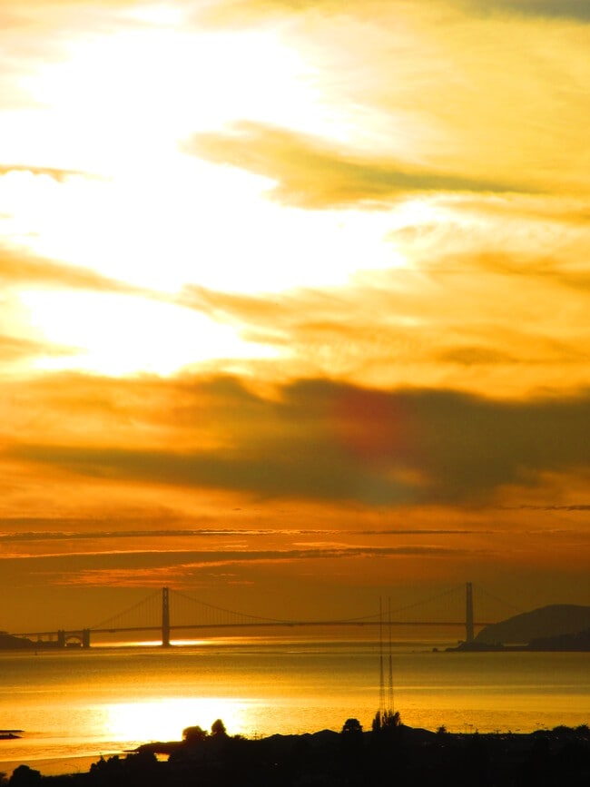 Building Photo - 733 Balra Dr