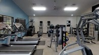 This fitness center offers a comprehensive workout environment designed to accommodate a variety of exercise routines. The space is thoughtfully laid out across a single floor, with dedicated zones for cardio, strength training, and functional fitness. A row of cardio machines — including treadmills, ellipticals, and a stair climber — lines the room, providing ample options for aerobic exercise. A medicine ball rack stocked with multiple weighted balls sits centrally, complemented by a kettlebell and dumbbell rack along the wall, catering to strength and functional training needs. The room is finished with neutral-toned carpet tiles and features a combination of recessed lighting and flush-mounted fluorescent fixtures that ensure bright, even illumination throughout. A decorative pendant fan hangs from the ceiling, adding a modern accent while contributing to air circulation. One wall is painted a cool teal-blue, providing a vibrant contrast to the otherwise neutral palette and contributing to an energizing atmosphere. Large mirrors are positioned to allow users to monitor their form during workouts. Overall, the space presents a clean, organized, and well-maintained environment suitable for a full range of fitness activities.