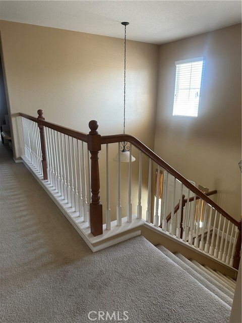 Foto del edificio - 33659 Thyme Ln
