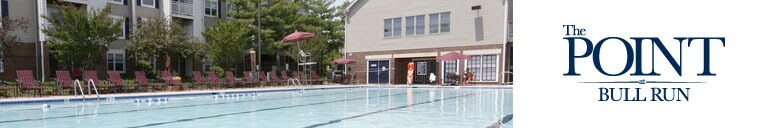 The Point at Bull Run