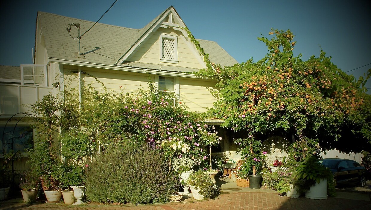 822 East Kensington Road - 822 E Kensington Rd