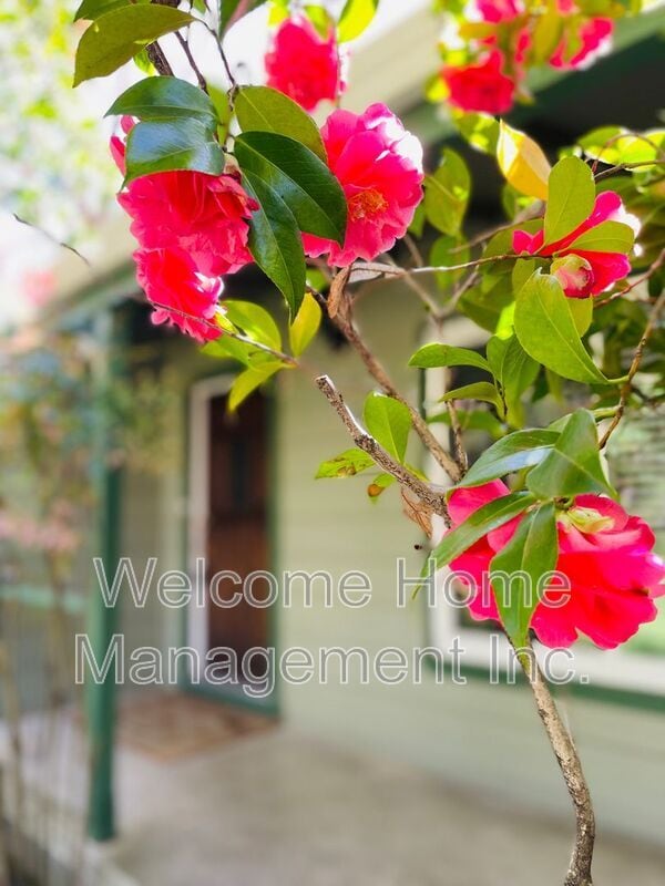 Foto del edificio - 2561 Olympic Blvd