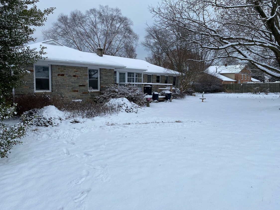 Backyard facing East - 1010 Morrison Blvd