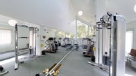 This dedicated fitness facility is designed to deliver a bright and motivating workout environment. The space is defined by its striking vaulted ceiling, which rises dramatically overhead and contributes to an open, airy atmosphere. Large floor-to-ceiling windows span one wall, flooding the interior with abundant natural light and offering serene views of surrounding mature trees and greenery, creating a refreshing connection to the outdoors.

The gym is well-appointed with a comprehensive selection of exercise equipment, including multiple treadmills, an elliptical trainer, a recumbent bike, and a cable resistance strength machine, catering to a full range of fitness routines. Free weights and weight plates are also available, providing versatility for strength training. A full-length wall mirror runs the length of one side of the room, enhancing the sense of space and allowing users to monitor their form during workouts.

The flooring is a practical gray carpet suited for a fitness environment, while overhead pendant lighting complements the natural light. The clean, white-painted walls and angular roofline give the space a modern, architectural character. The overall ambiance is functional yet well-considered, offering a private and fully equipped setting for comprehensive fitness training.