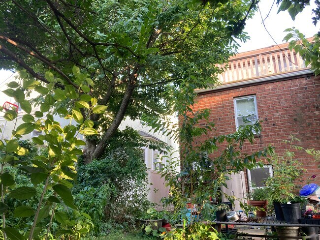 Foto del edificio - 321 E Olive St
