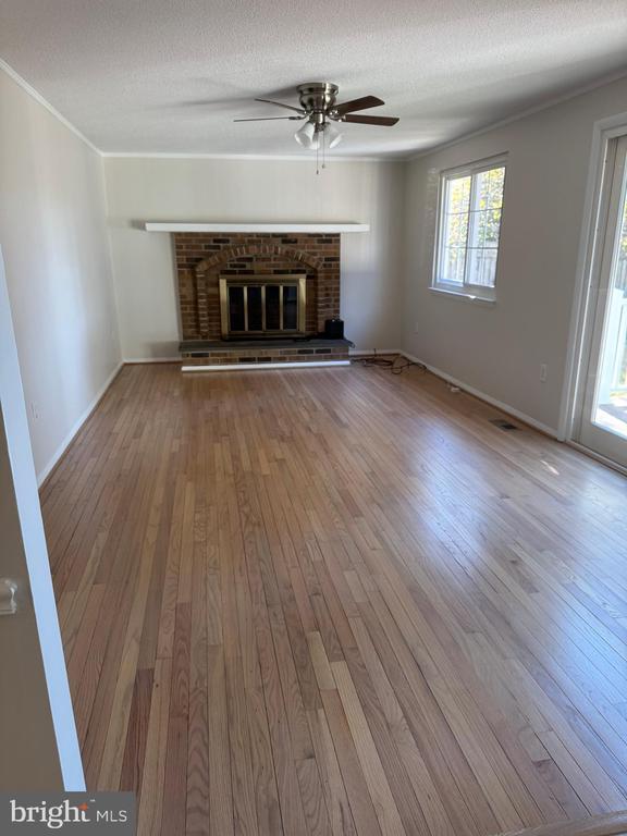 Foto del edificio - 7532 Buena Vista Terrace