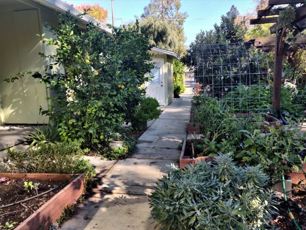 Foto principal - 1130 Olive St