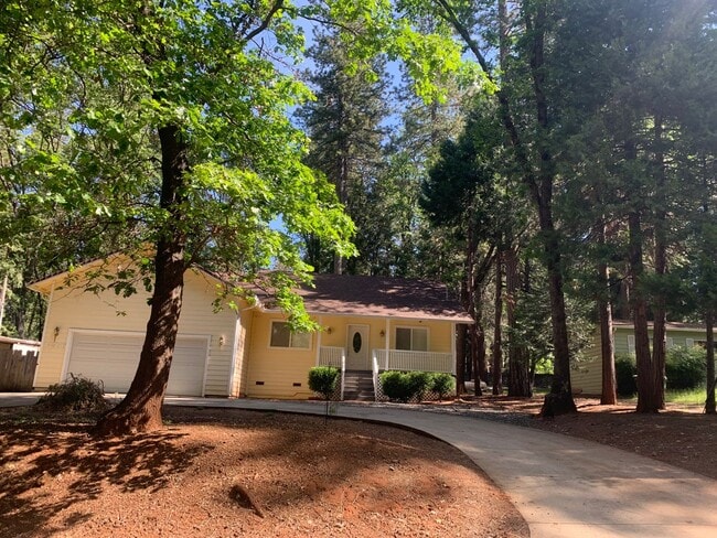 Building Photo - Beautiful Move in Ready 3 bedroom 2 bath home in Established neighborhood