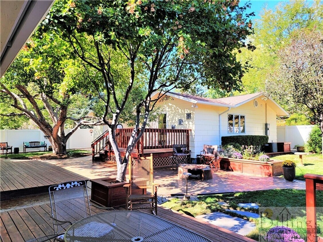 Primary Photo - Adorable Cozy Large Studio House/ w Large ...