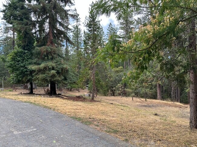 Foto del edificio - 12426 N Bloomfield Rd