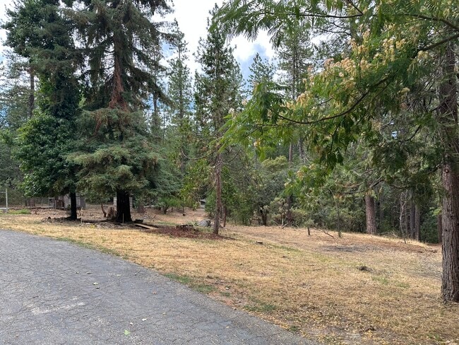 Building Photo - 12426 N Bloomfield Rd