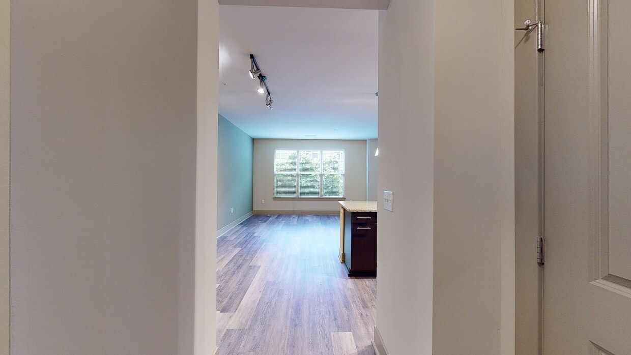 Photo - Domain College Park Apartments