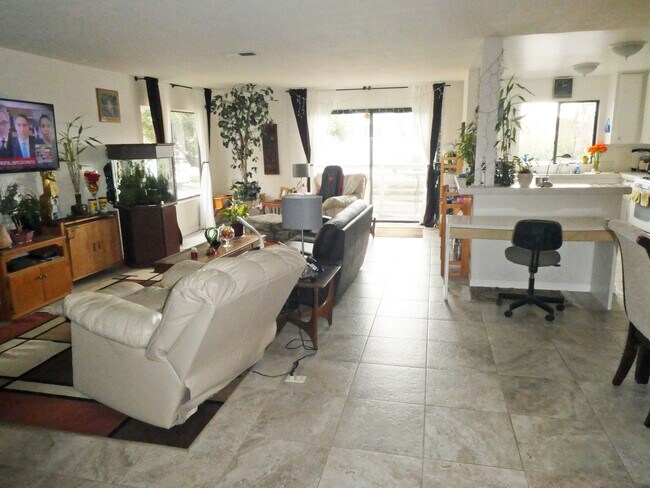 living room - 822 Viva Ct