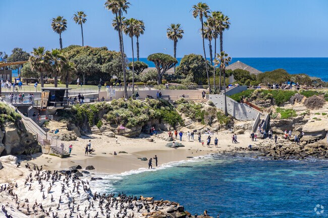 Swim alongside vibrant sea life at La Jolla Cove, a go-to spot for snorkelers.