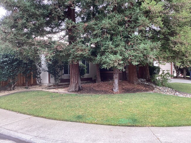 Building Photo - Charming 4 BD 2 BA Home in Citrus Heights ...