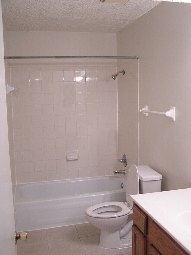 Primary Photo - 211 37th Ave N